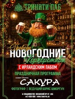 Новогодние корпоративы