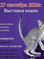 Международная выставка кошек