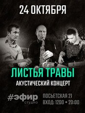 Группа Юрия Логачёва «Листья Травы». Акустический концерт