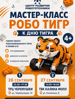 Бесплатный мастер-класс по робототехнике ко Дню тигра