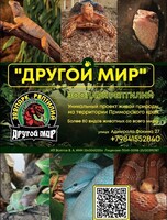 Зоопарк рептилий «Другой мир»: показательные кормления + экскурсии