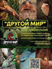 Зоопарк рептилий «Другой мир»: показательные кормления + экскурсии
