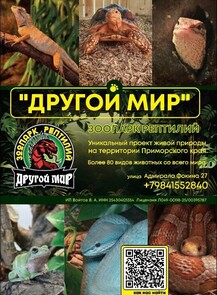 Зоопарк рептилий «Другой мир»: показательные кормления + экскурсии