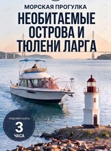Морская прогулка вокруг острова Русский к морским котикам