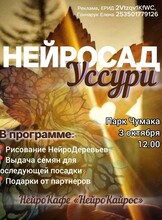 Городской фестиваль «‎НейроСад Уссури»