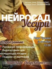 Городской фестиваль «‎НейроСад Уссури»