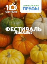Фестиваль тыквы. Яркий праздник осени