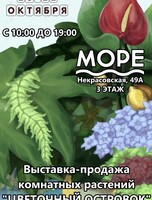 Выставка-продажа комнатных растений «Цветочный островок»