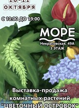 Выставка-продажа комнатных растений «Цветочный островок»