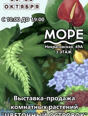 Выставка-продажа комнатных растений «Цветочный островок»