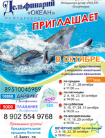 Дельфинарий