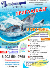 Дельфинарий