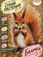 Мастер-класс по рисованию сухой пастелью «Белочка»