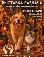 Благотворительная выставка-раздача животных