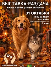 Благотворительная выставка-раздача животных