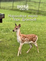 Экскурсия «Маралы и Парк Драконов»