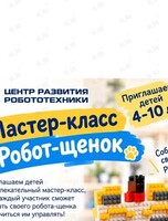 Мастер-класс по робототехнике «Робот-щенок»