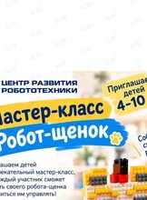 Мастер-класс по робототехнике «Робот-щенок»