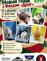 Семейный праздник «Новый годик с фондом "Друг"»