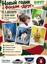 Семейный праздник «Новый годик с фондом "Друг"»
