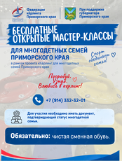 Бесплатные мастер-классы по кёрлингу для многодетных семей