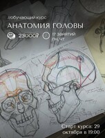 Обучающий курс по живописи «Анатомия головы»