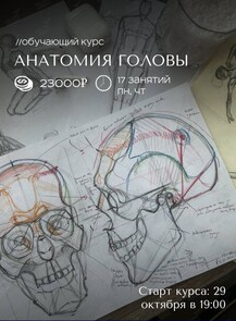 Обучающий курс по живописи «Анатомия головы»