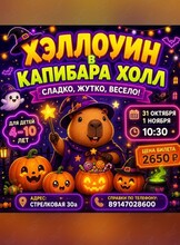 Детская программа «Хэллоуин: сладко, жутко, весело»