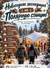 Детская программа «Новогодняя экспедиция на полярную станцию»