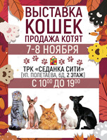 Международная Выставка Кошек. Ярмарка элитных котят