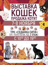 Международная Выставка Кошек. Ярмарка элитных котят