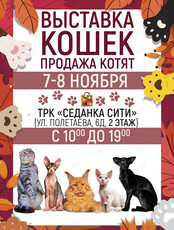 Международная Выставка Кошек. Ярмарка элитных котят