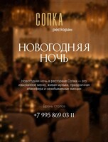 Развлекательная программа «Новогодняя ночь»