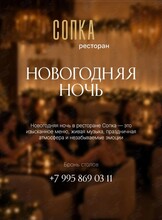 Развлекательная программа «Новогодняя ночь»
