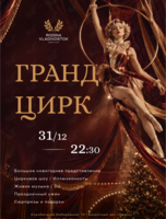 Новогодняя ночь «Гранд Цирк»
