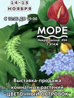 Выставка-продажа комнатных растений «Цветочный островок»