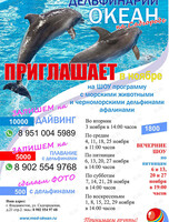 Дельфинарий «Океан»