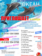 Дельфинарий «Океан»