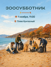 Субботник с зооволонтёрской организацией «Лапочки»