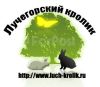 Лучегорский кролик