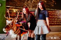 Фотоотчет : Merry Christmas. Пятница, 25 декабря. Изображение 4