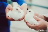 Факультет довузовской подготовки ТГМУ: Выпускной. Понедельник, 27 июня