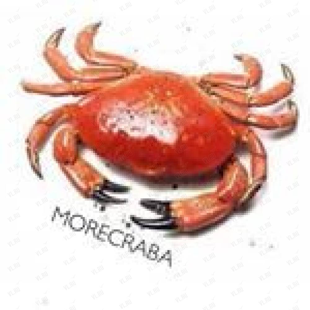Сколько Ног У Краба Фото