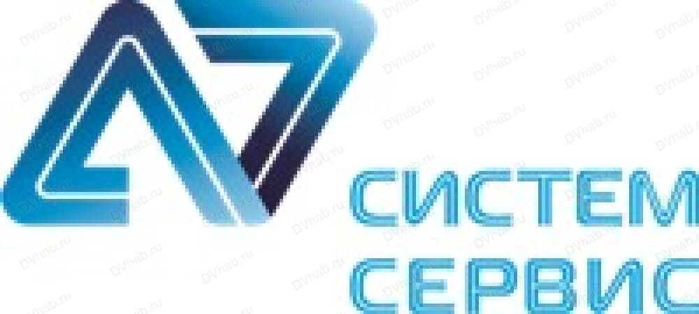 Система сервис. Систем сервис Хабаровск. ООО система сервис. Систем сервис Хабаровск официальный сайт.