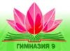 Гимназия №9