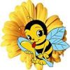 Дары природы