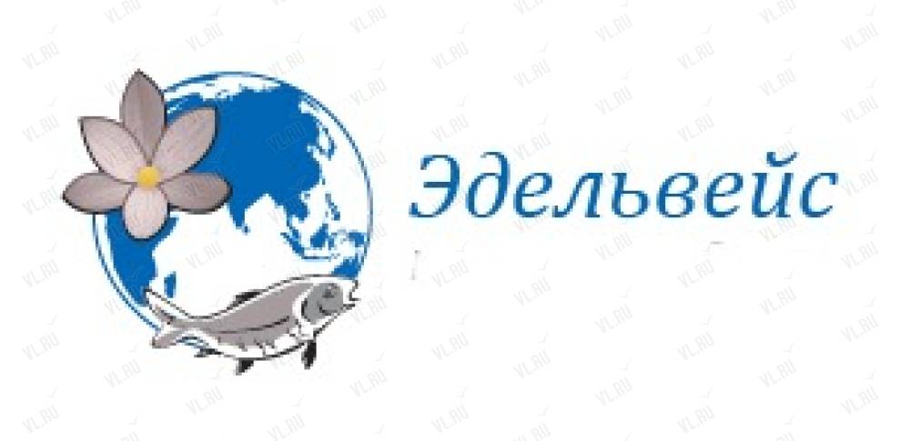 Эдельвейс телефон екатеринбург. Эдельвейс логотип. Эдельвейс Владивосток. Edelweiss Владивосток logo. Edelweiss Владивосток директор.