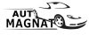Автомагнат