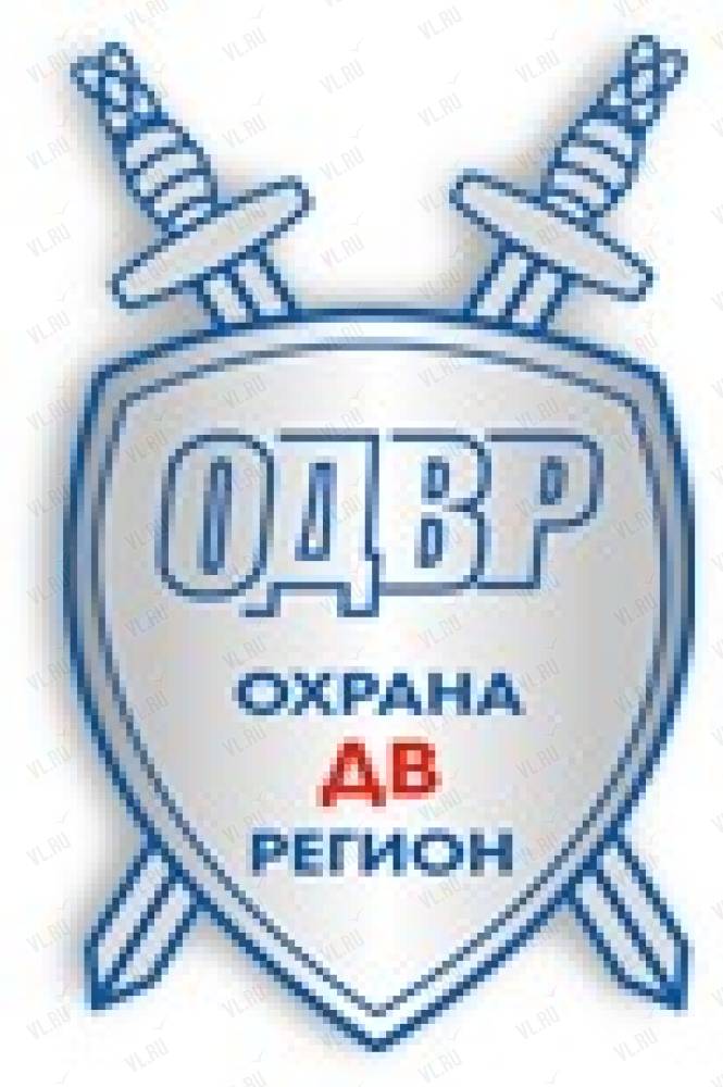 Гарантия безопасности. Регионы дв. ООО дв регион. Регион охрана. Эмблема охранников безопасность дв.