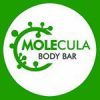Body Bar Molecula